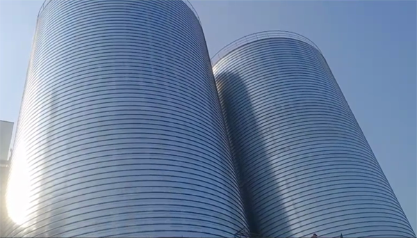 万秀2座混凝土高架卷板仓